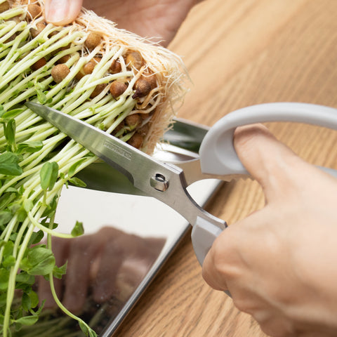 Left-handed kitchen shears with serrated stainless steel blades and soft resin handles, disassemblable for easy cleaning.