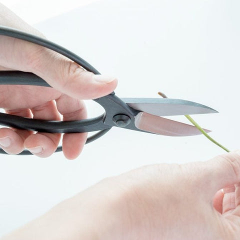 SAKAGEN left-handed Japanese garden scissors with Warabite-style handles and black rust-proof coating, made in Japan.