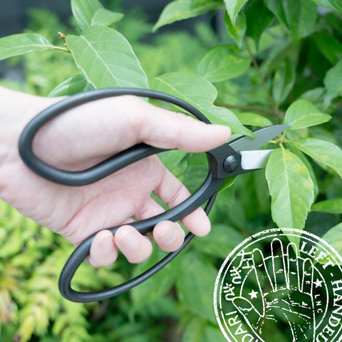 SAKAGEN left-handed Japanese garden scissors with Warabite-style handles and black rust-proof coating, made in Japan.