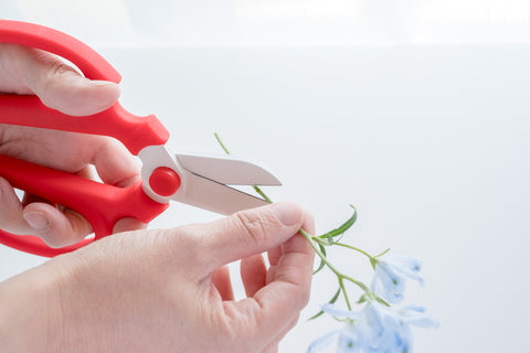 Left-handed Scissors Selection – All Made in Japan