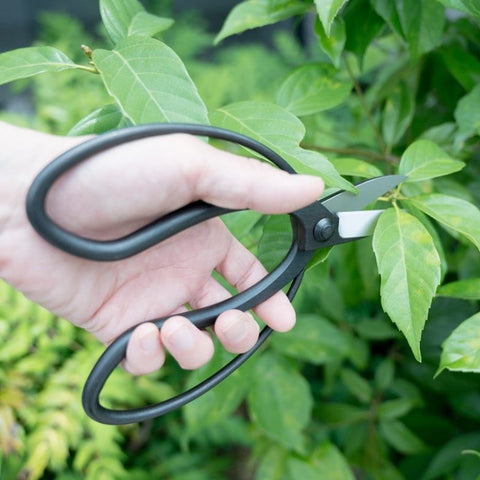 SAKAGEN Japanese garden scissors, left-handed