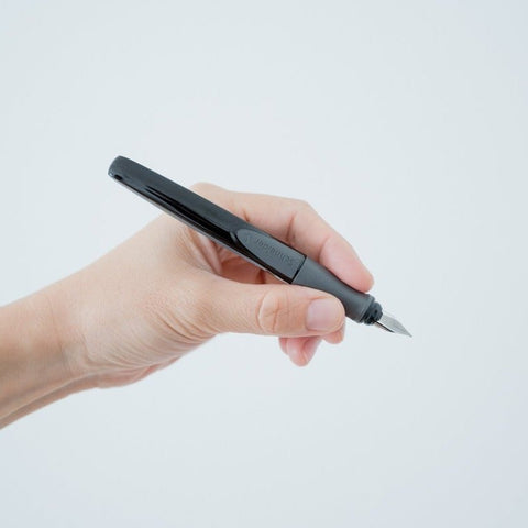 Schneider Ray fountain pen, left-handed